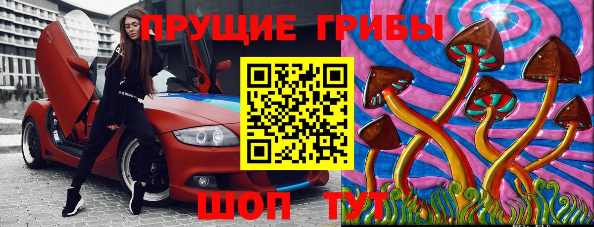 Александров  Псилоцибиновые грибы Psilocybine cubensis  Вход с VPN 